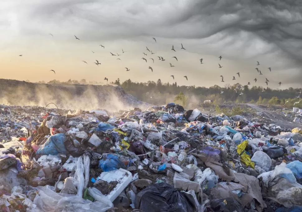 DESECHOS. El mundo produce por año 300 millones de toneladas de plástico -el mismo peso que todas las personas juntas- y sólo recicla el 10%. 