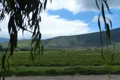Se suman más reclamos por seguridad en el campo