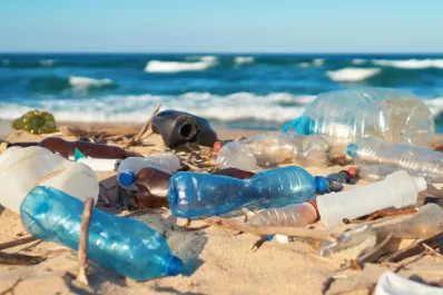 Crisis ambiental: a diario comemos y respiramos plásticos