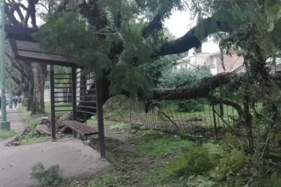 Un árbol cayó sobre la verja de una casa en Yerba Buena