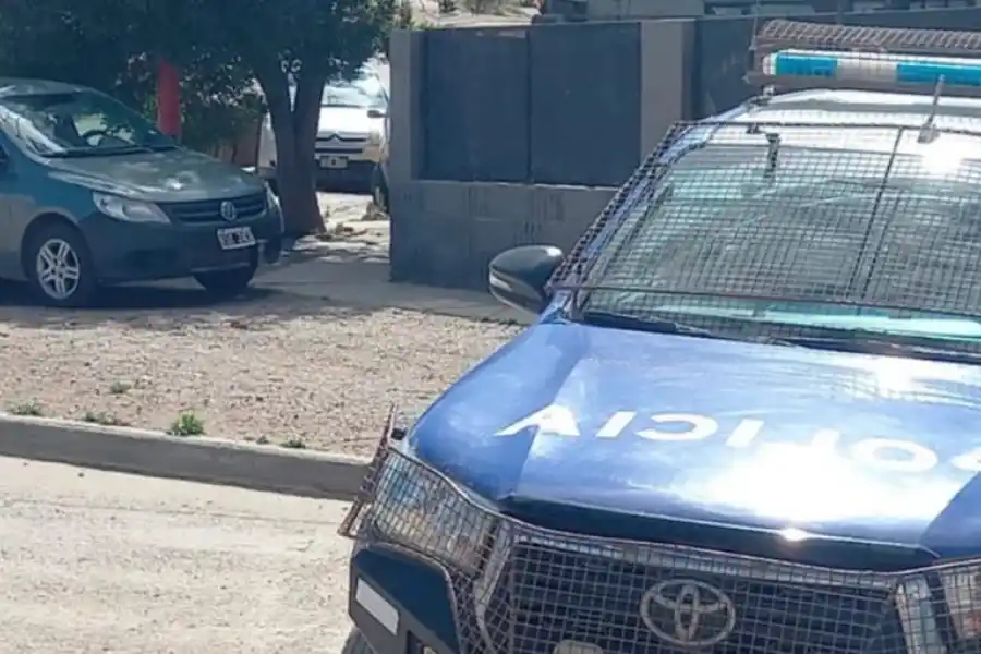 Una niña de 6 años murió atropellada por el auto de su propia madre en Santa Cruz