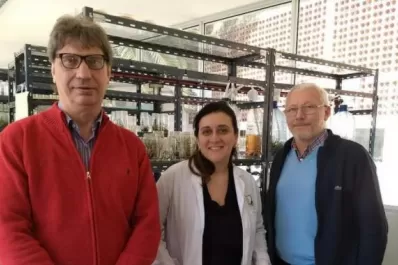 “En mi grupo de trabajo las mujeres somos mayoría”