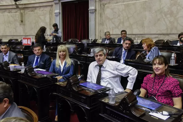 Acuerdo con el FMI: ¿Cómo votaron los nueve diputados por Tucumán?