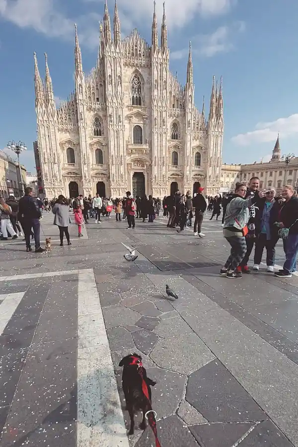 DE PASEO. Luigi junto a Oeste en el parque 9 de Julio (arriba). Abajo aparece en distintos sitios de Italia. 