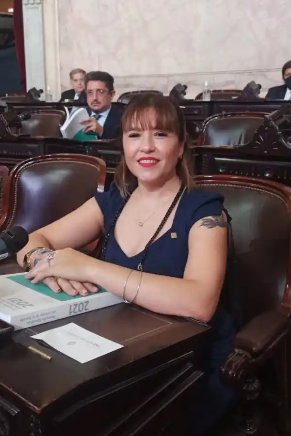 EN SU BANCA. La diputada Mabel Carrizo tiene mandato hasta 2023 en la Cámara baja. Foto Twitter @mabelcarrizotuc