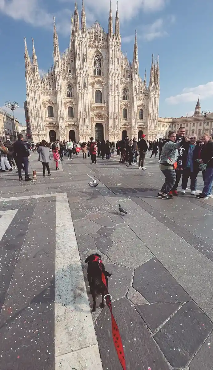 DE PASEO. Luigi junto a Oeste en el parque 9 de Julio (arriba). Abajo aparece en distintos sitios de Italia. 