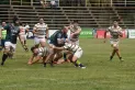 Rugby tucumano: las ganas de jugar lo mejor posible tienen inmunidad