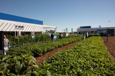 BASF presenta tres nuevos productos en Expoagro