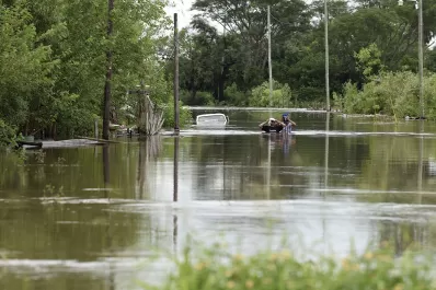 Rarezas con sabor a empanadas