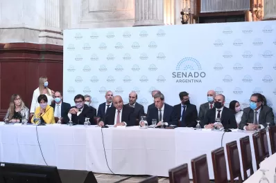 Guzmán, en el Senado: La Argentina necesita evitar un shock desestabilizante