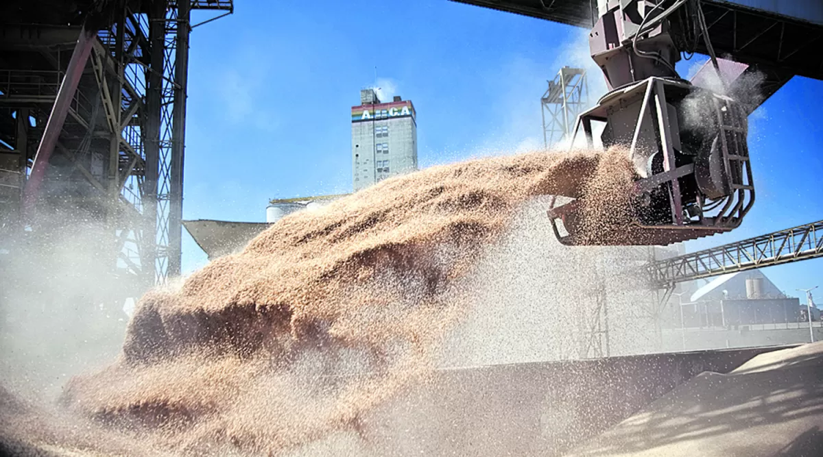 SOJA. La tonelada de soja disminuyó 16 dólares su precio a partir de la decisión del gobierno de frenar exportaciones de subproductos de la oleaginosa.