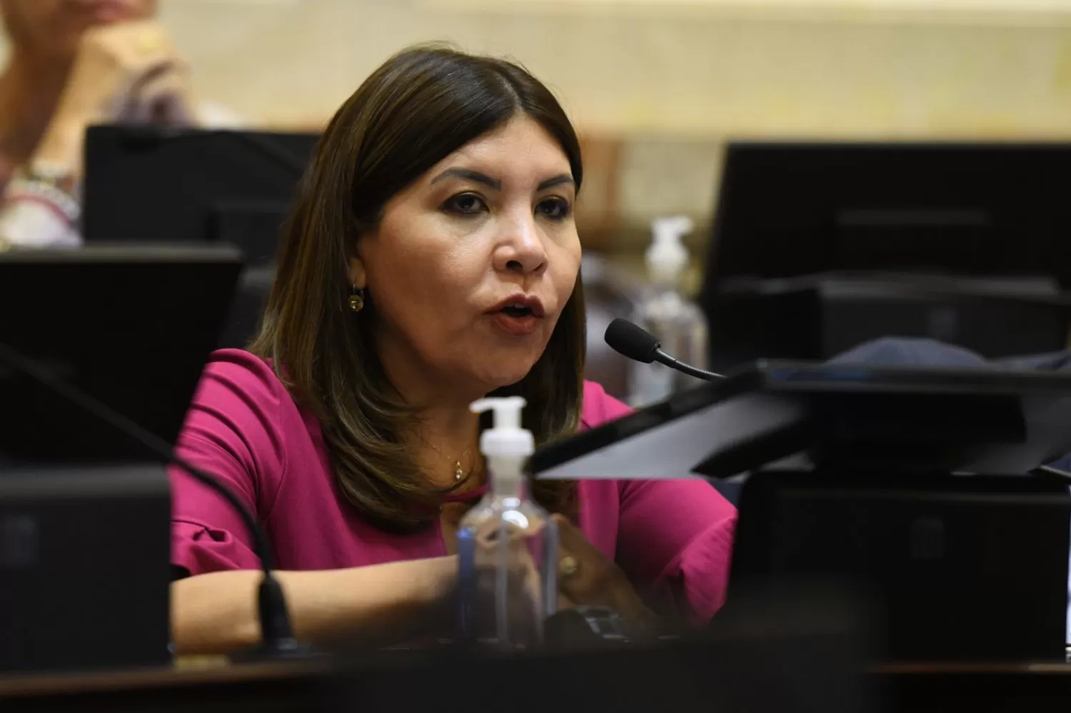 DEL FRENTE DE TODOS. La senadora Sandra Mendoza votó a favor del acuerdo con el FMI.