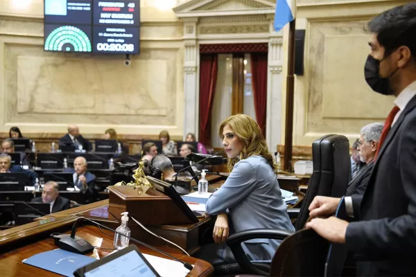 El Senado aprobará el proyecto K para pagarle al FMI con un impuesto a los bienes no declarados