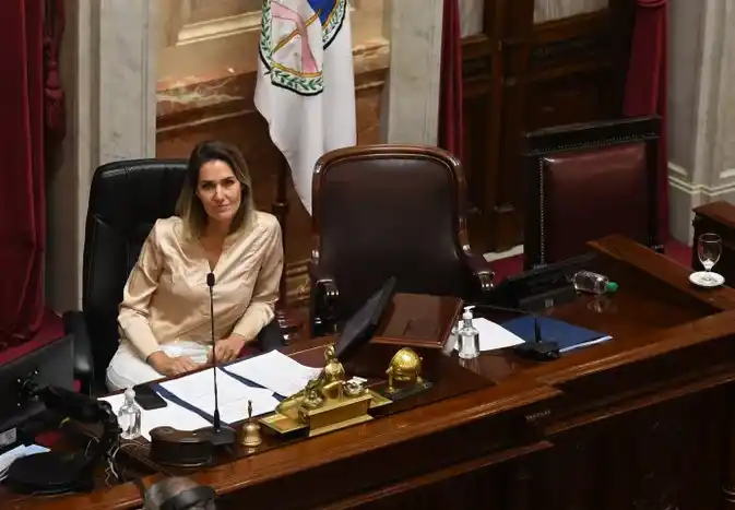Carolina Losada debutó como presidenta del Senado
