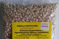 La Eeaoc convoca a interesados a adquirir semillas portainjertos