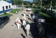 Barrieron García Fernández para buscar Diaphorina