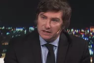 Milei trató de palomitas tibias a sectores que integran Juntos por el Cambio