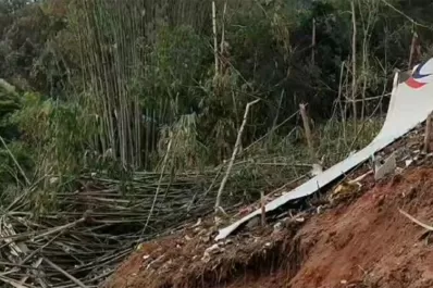 Tragedia aérea en China: cayó un avión con 132 pasajeros