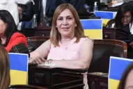 Ávila: El Gobierno quiere dominar el Consejo de la Magistratura para garantizar su impunidad