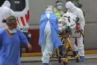 Según la OMS, las muertes por covid-19 descienden a niveles de marzo de 2020