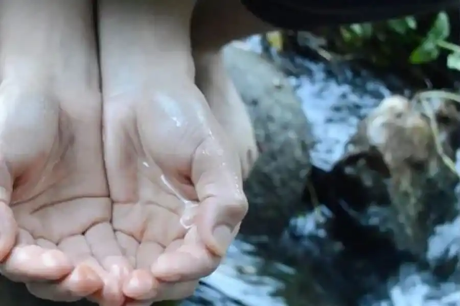 DESDE CHILE. Llegará “Encauzar y despertar la memoria de las aguas”.