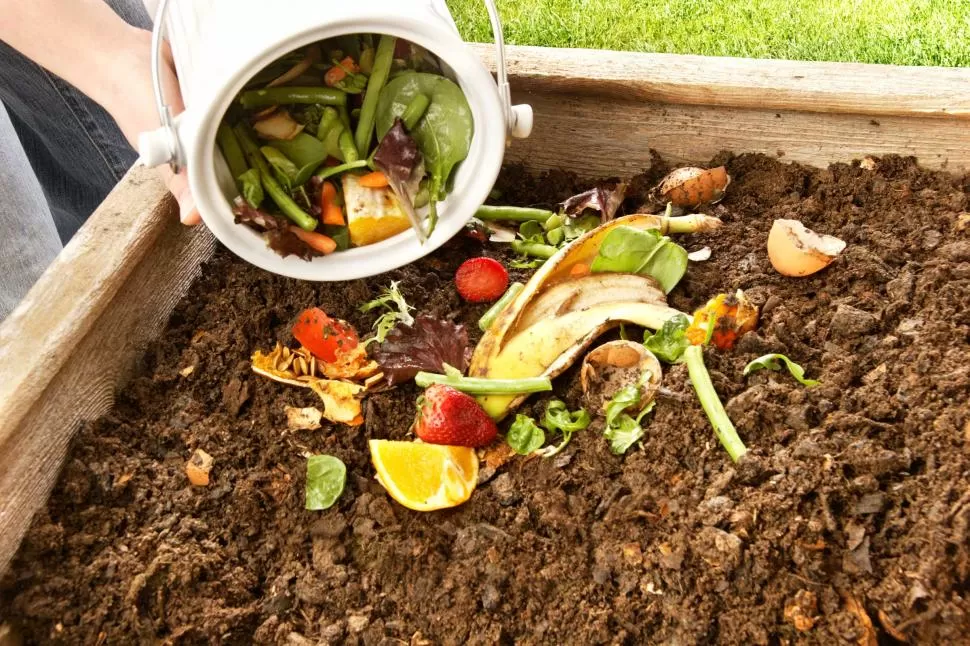 DATO. En promedio, una persona genera por día un kilo de basura. De esa fracción, un 50 % puede aprovecharse para hacer compost orgánico. 