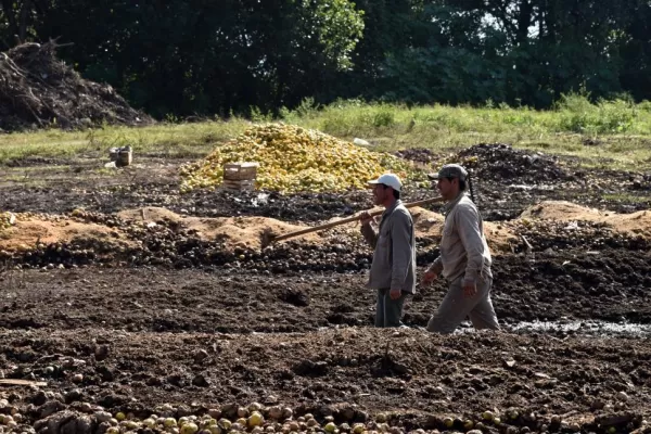 Un futuro verde empieza con el compost