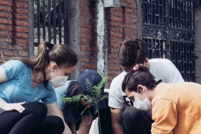 Conciencia ambiental: la importancia de plantar árboles