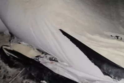 Estaban rompiendo silobolsas, y la Policía los descubrió