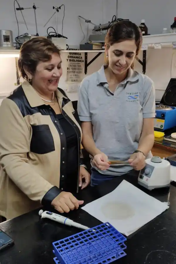 ECOLÓGICOS. Los recubrimientos activos tienen propiedades antioxidantes, antibacterianas y antifúngicas. http://www.mejoresplayas.org