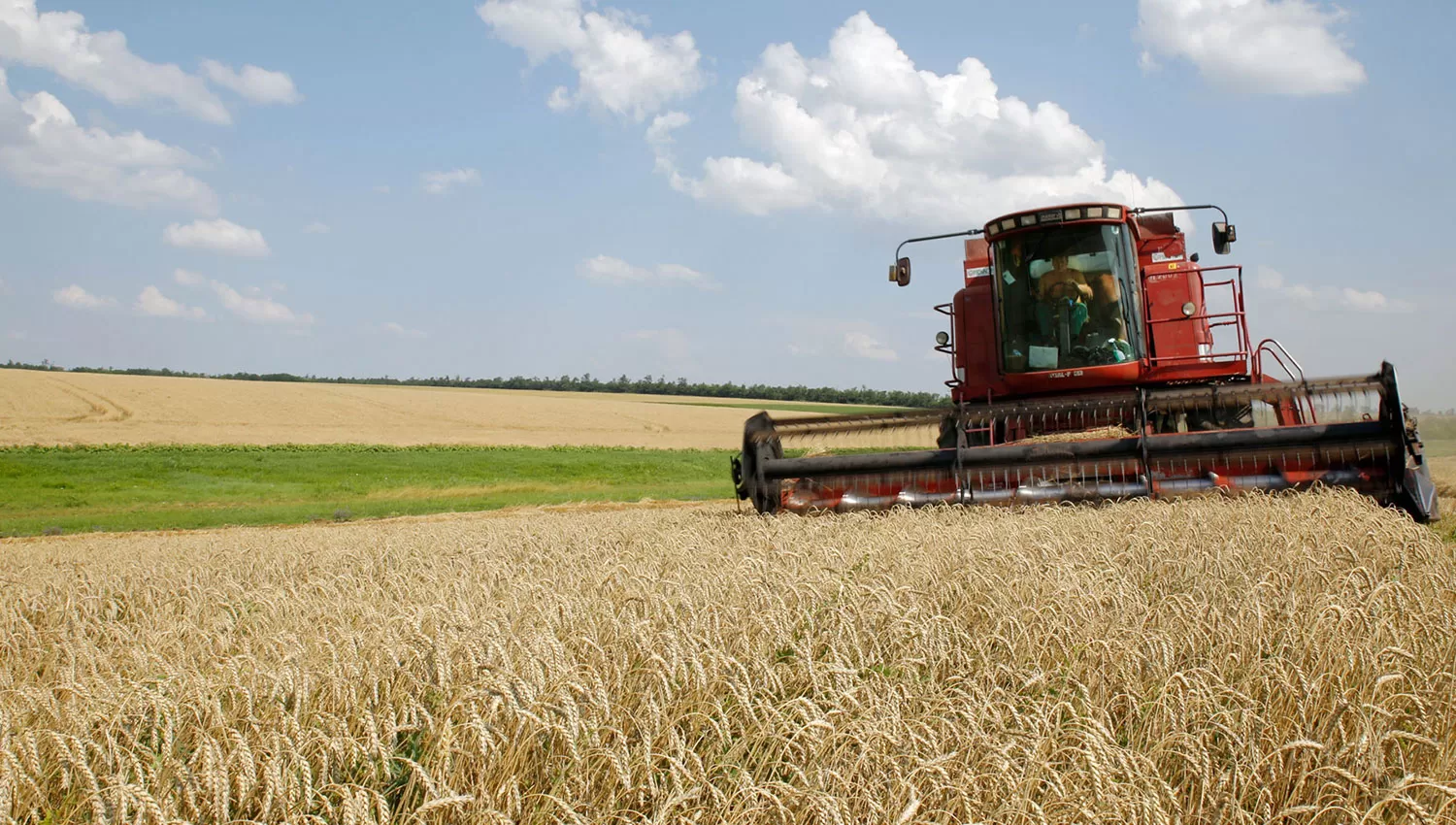 POR OTRAS VÍAS. Las autoridades ucranianas habían estimado una producción de APK-Inform explicó la semana pasada que las exportaciones de granos de alrededor de 44 millones de toneladas para la temporada.