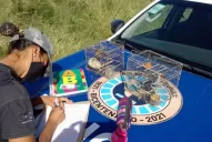 Policías sorprendieron a un cazador furtivo en plena acción