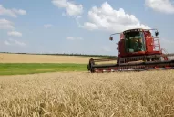 Ucrania exportó el primer embarque de granos por tren a Europa