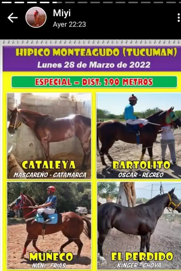 El programa que se difundió en las redes. 