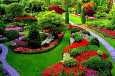 Formarán en Educación Física y en Jardinería