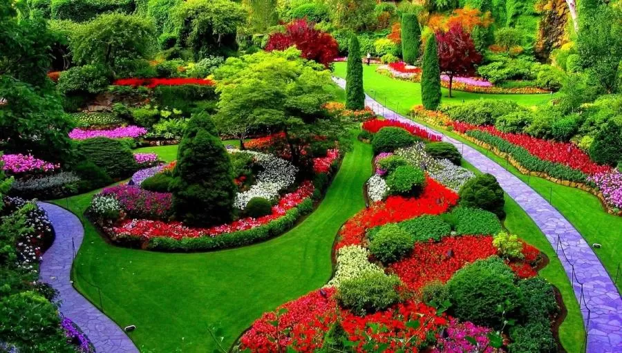 PENSAR EN VERDE. Se dictará una diplomatura gratuita en paisajismo. 