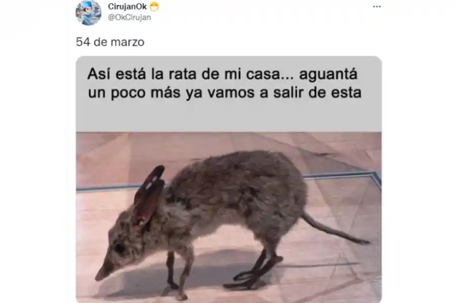 Marzo se hizo eterno y estallaron los memes en las redes sociales