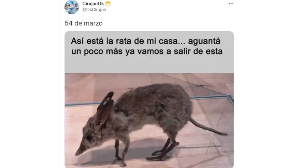Marzo se hizo eterno y estallaron los memes en las redes sociales