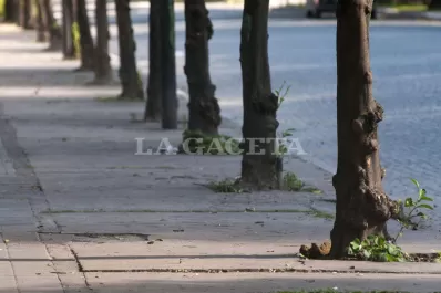 Viernes agradable y soleado, aunque con una máxima de 22°