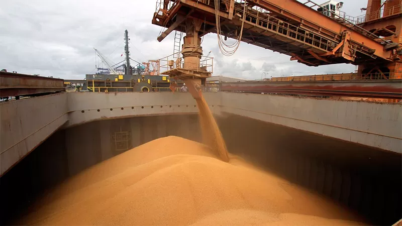 PERJUICIO La suspensión de los registros de exportación de harina y aceite de soja origino que se exportara menos. 