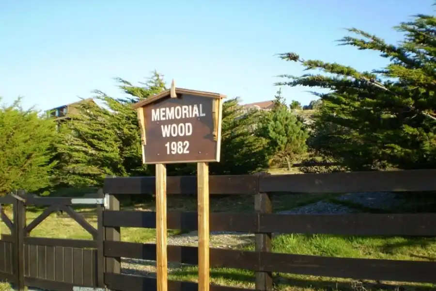 Los “otros” ganadores de la guerra de 1982