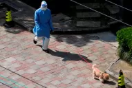 Covid-19 en Shanghái: el Gobierno relaja las restricciones pese al aumento de contagios