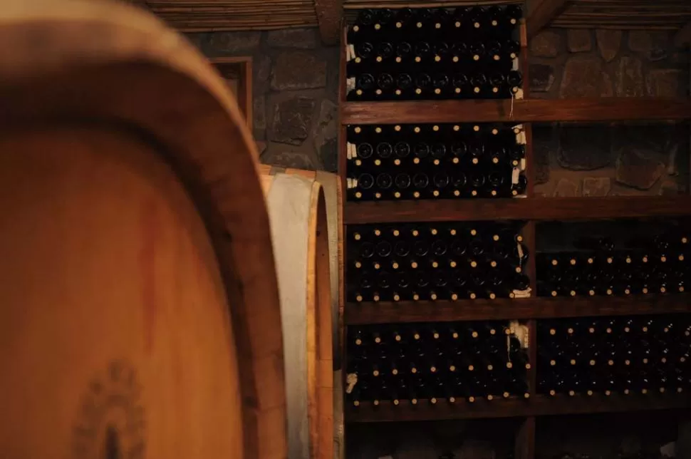 La producción de vinos de altura se abre paso en el NOA