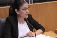 Se aprobó una iniciativa para que se revise el estado de los árboles en San Miguel de Tucumán