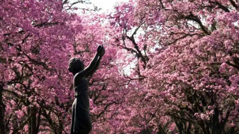 LA GACETA/OSCAR FERRONATO