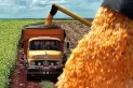 Un paro afectará el transporte de granos