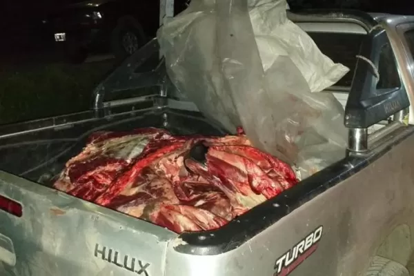 Controles en Raco: secuestraron 200 kilos de carne