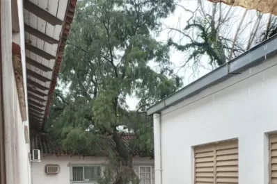 Las tormentas afectaron zonas de Filosofía y Letras