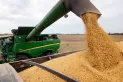 Soja: subió un 14% el gasto de barbecho