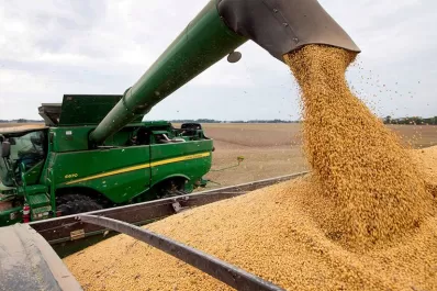 Soja: subió un 14% el gasto de barbecho